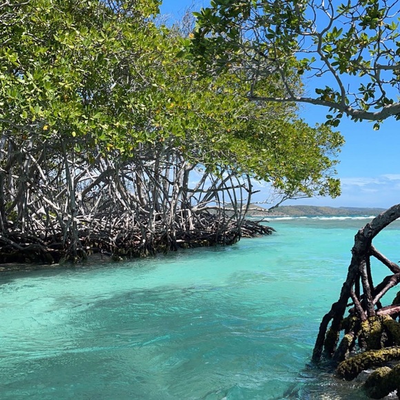 Meet your Posher, Luisa - Picture 1 of 1